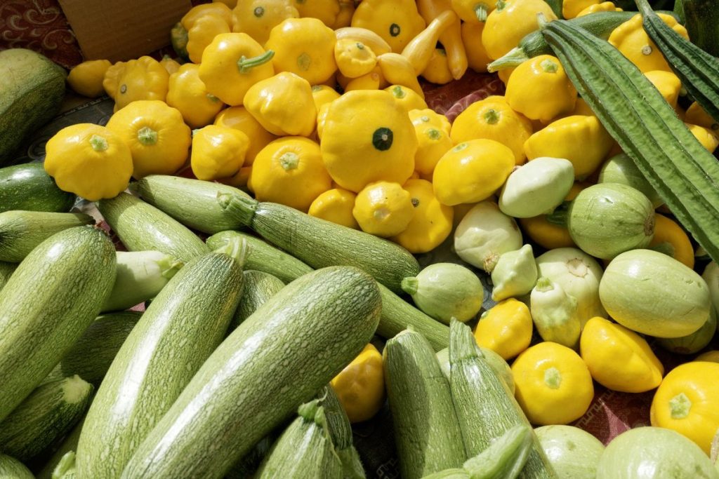 quand planter les courges