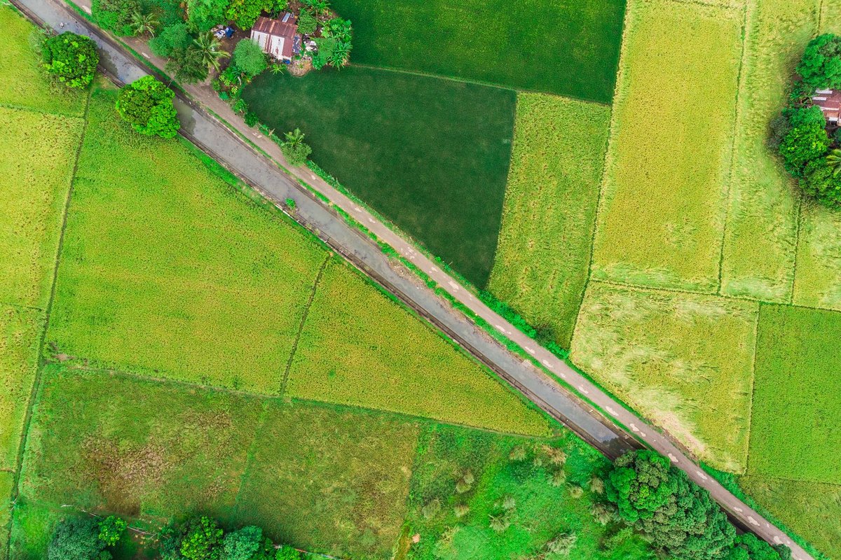 détachement de parcelle