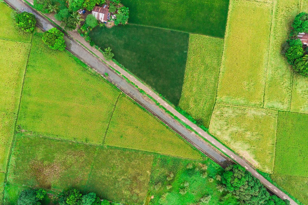 détachement de parcelle